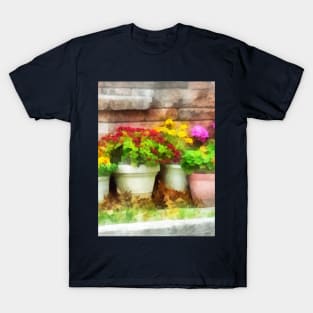 Flowerpots with Autumn Flowers T-Shirt